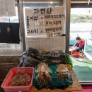 삼대해녀의집