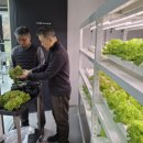 도시농업센터 이미지