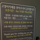 예뻐질:개&고양이카페 이미지