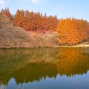 주말에 와잎이랑 한국외대용인캠퍼스 다녀와쪄염 뀨~~ 이미지