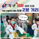 아리랑 태권도장 이미지