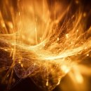 VIP BUSINESS CLUB 이미지