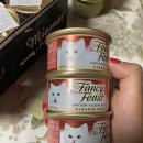파테