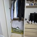 좋은느낌 | 사다리 작업 과 포장 이사 현장 좋은 느낌후기