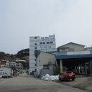 거진항(판매장) Daum카페