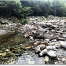 별천지야영장 이미지