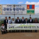 한국팜