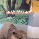 수달앤쥬 이미지