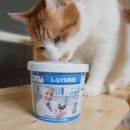 신소프트 이미지