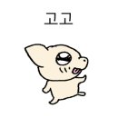 (주)온힐펫 이미지