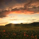 연천 호로고루 이미지