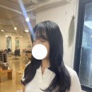 살롱드뉴욕