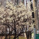 (주)온휴 | 2026주간일기(03.23~03.29)