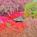 완산공원(정상) 이미지