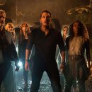 비둘기모사 이미지