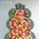 청보화원 | 양재동꽃집 청보화원 포장