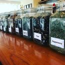 문화가 있는 날- 와일드 세바스찬바흐 | 티의 명소를 찾아서 (64) 미국 - 오리건주 ④