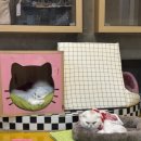 새부산종합동물병원 이미지