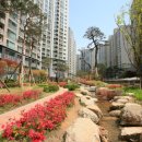 도곡공인중개사사무소 이미지