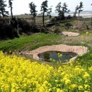 바람 구름 파도 그 이미지