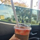 팽성대교길 | 내돈내산 평택 팽성 라메사 방문후기