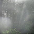 달음산주유소 이미지