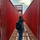 송학주천로 | [강원/영월] 주말에 뭐하지? 반려동물 동반 박물관 &lt;젊은달 와이파크&gt; 후기