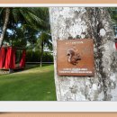 발리 휘트니스 클럽 이미지