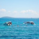 서경석농장 | 【뉴질랜드 한달살이】 버킷리스트 1순위 한달살이 하고 싶은 뉴질랜드~ 허니문 추천 여행지!!