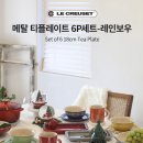 르플레이트 티스토리
