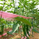 해오름농장 이미지