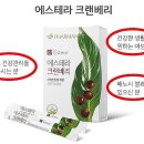 에스테라 이미지