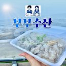 감포 부부수산 포장 후기 경주 포항 글램핑 해산물 준비 여기서 끝 신선도 가성비 좋은 횟집 추천