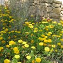 우종미술관 이미지