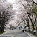 백전소재지 이미지