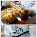 사파동113 이미지