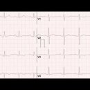 입이 트이는 생활영어 기초 이미지