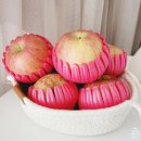 지니농원 이미지