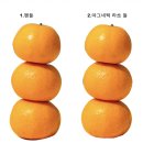 에스피엔지