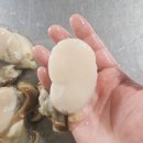 주식회사 올바른푸드