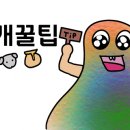 무지개땅콩