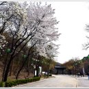 (유)한마음고속관광 이미지