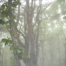 단양한우 목장 이미지