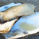 석화농장 이미지