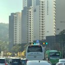 용성국제여행사 이미지