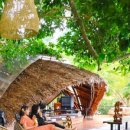 쓰리몽키즈 이미지