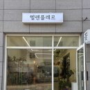 헬렌플레르