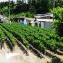 광암리 마을회관 이미지