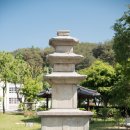 춘양중학교 | 문화유산답사 - 봉화 서동리 동·서 삼층석탑 奉化 西洞里 東·西 三層石塔