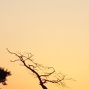 금수산 농원 이미지